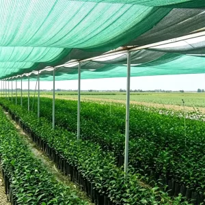 100% HDPE UV-Resistant Agricultural Shade Net Greenhouse Garden Shade Cloth Mesh Tarp PE Material Green