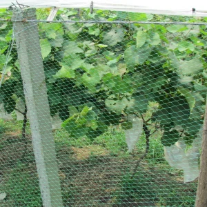 100% PP Black Anti-Bird Agricultural Garden Plastic Netting for Vegetable Farms