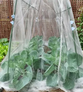 100 mesh Insect proof Netting Plastic Net That Resists Strong Winds and Heavy Rains Insect Net That Blocks Pests