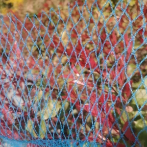 10mmx10mm Blue Anti Bird Netting for Garden