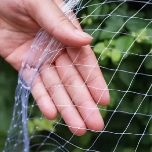 20mm HDPE + UV-Stabilized Anti-Bird Netting Customized Size for Garden Plants Fruits Flowers