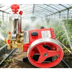 22mm Plunger Pump Portable High-Pressure Agricultural Sprayer Pump for Farm and Garden