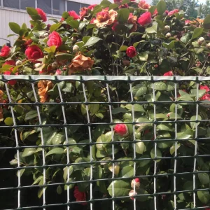 270gsm 20mm HDPE Plastic Outdoor Garden Fence and Climbing Plant Mesh Netting