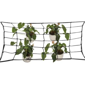 2×4 3inch Trellis Netting Plant Support Net