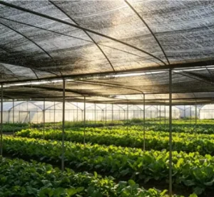 30%-90% UV-Protection Agricultural PE Shade Sail Net Roll for Greenhouse Use