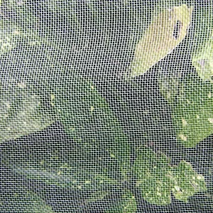 50 25 Mesh Anti-Insect Net for Tomato and Vegetable Farming in Greenhouses