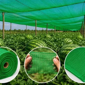 50% Light Green HDPE Shade Net 50gsm for Greenhouse UV Stabilized Sunblock Cover for Vegetable Garden Plant Protection