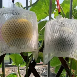 80 mesh Insect proof Net Pest proof Net Bird proof Net Windproof Plastic Net