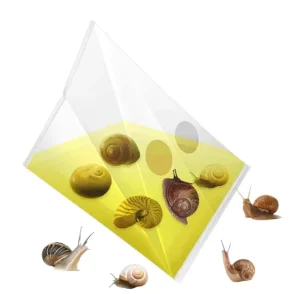 Adhesive Triangular Pyramid Garden Snail Trap