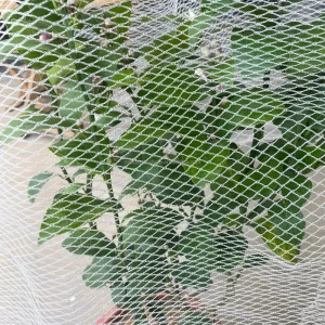 Anti Bird Mesh Sturdy Heavy Duty Garden Hail Netting Bird Netting for Garden Protection