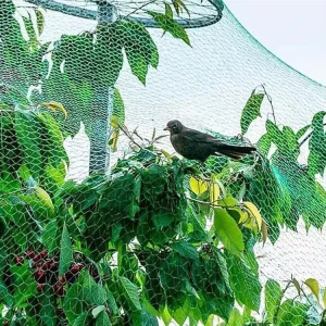 Anti Bird Netting Garden Mesh Netting for Protect Fruit Trees Vegetables PE Network Against Birds Deer Squirrel Rabbits