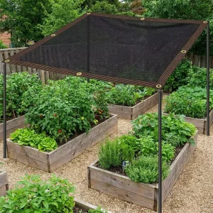 Black 70 GSM HDPE UV Resistant Rectangle Densely Woven Garden Sun Shade Net for Courtyards and Backyards