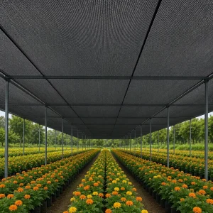 Black HDPE Agricultural Shade Net UV-Stabilized Knitted Mesh Roll for Greenhouse Flower Nursery Farm Crops