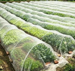 Breathable Durable Garden Insect Net for Vegetable Greenhouses and Seedling Cultivation