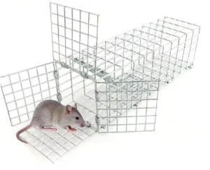 Commercial Galvanized Single-Door Step-Type Continuous Rectangular Rat-Trapping Cage