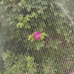 Customizable HDPE Agricultural Anti Hail Net Garden and Orchard Protection with Custom Cutting Processing Service