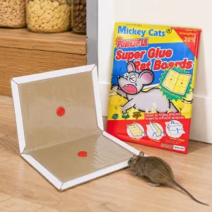 Disposable Portable Paper Mouse and Rat Glue Trap Boards for Household Pest Control