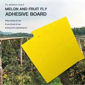 Disposable Yellow Sticky Insect Trap for Greenhouse Vegetables, Flowers, Orchards, and Fruit Trees