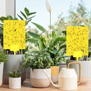Double-Sided Yellow Sticky Traps for Flying Insects Indoor Plants Garden Greenhouse