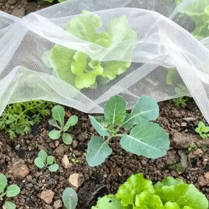 Durable 100gsm 50 Mesh PE Anti insect Garden Netting for Vegetable Plots and Orchards Customizable Pest Control