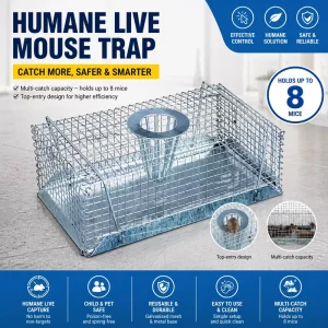 Eco Friendly Metal Wire Cage Mouse Trap Top Funnel Design for Live Rodent Capture Farm Use High Efficiency Pest