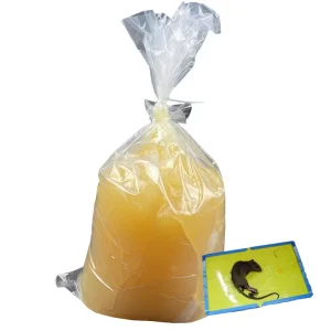 Eco Friendly Pest Control Sticky Mouse Rat Traps Low Price with Best Glue Humane Solution