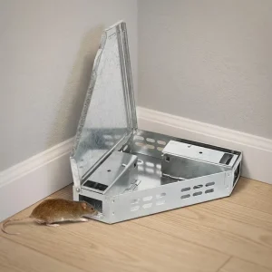 Eco Friendly Stainless Steel Rat Trap Triangle Shape Solid Lid No Kill Humane Mouse Trap Catcher for Home Kitchen Garden