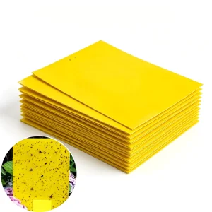 Eco Safe Disposable Yellow Gel Sticky Traps Biodegradable for Greenhouse Garden and Livestock Farm Mosquito Capture