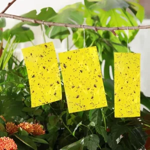 Economical and Top Performing Farm & Greenhouse Bug Traps Keep Pests at Bay on a Shoestring Budget