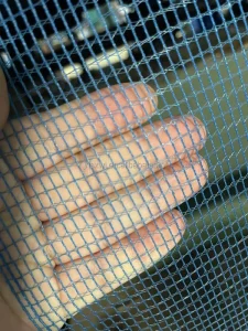 Extruded Bird Net for Agricultural Protection Customized Extruded Plastic Netting
