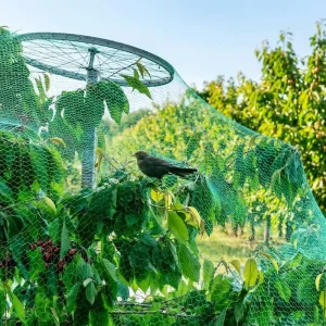 Extruded HDPE Plastic Netting for Garden Bird Protection and Insect Prevention Plant Cover Roll