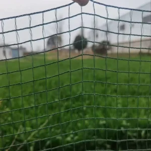 Factory Custom Chicken Farm and Garden Fence Netting