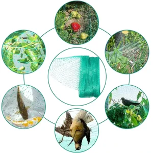 Factory Direct Price Agriculture Antibird Net Plastic Extruded Anti Bird Net