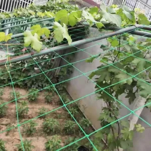 Factory High Quality Garden Trellis Netting Plants Climbing Net PE Vegetable Planting Net Durable Trellis Netting in Bulk Supply