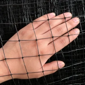Factory Nylon or HDPE Vineyard Bird Netting for Vegetable Plants and Trellising