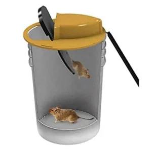 Factory Reusable ABS Rodent Bait Station Animal Friendly Mouse Trap and Pest Insect Control Box