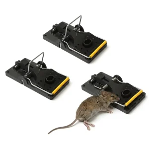 Factory Supply Rat Trap Easy Use Mouse Snap Trap Effective Mice Trap with Competitive Price