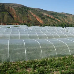 Fine Mesh Anti-Insect Netting for Greenhouse Crops