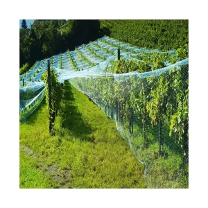 Fine-Mesh Garden Anti-Bird Netting for Greenhouse Crops Vegetables and Plants