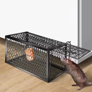 Foldable Small Animal Cage Trap for Cats, Rabbits, Squirrels, Foxes, Raccoons, Pigs, and Dogs