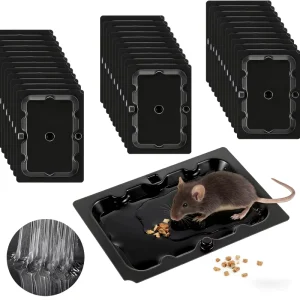 For Non Toxic Eco Friendly Glue Trap for Rats Solid ABS Safe for Pets Kids Easy Remove Oil for Home Basement Attic Indoor