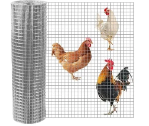 Galvanised Welded Wire Mesh and PVC coated Welded Wire Mesh Rolls Suitable for Farm Fencing and Wall Reinforcement