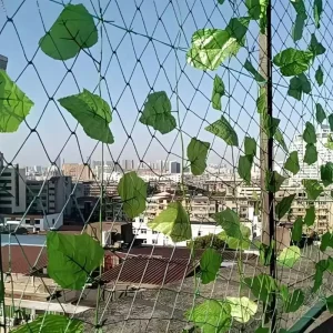 Garden Trellis Netting Plants Climbing Net Nylon Vegetable Planting Net for Tomato Cucumber Grape Bean