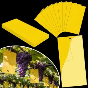 Gel Disposable Sticky Traps for Insect Control in Home and Garden