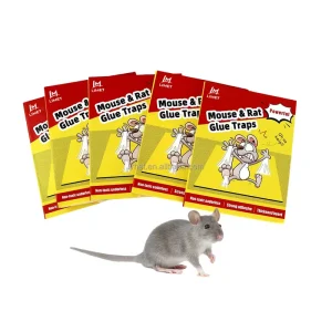 Glue Mouse Trap