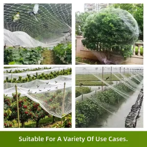 Green Bird and Hail Protection Netting for Poultry Farms, Vineyards, and Gardens
