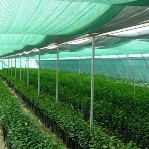 Green HDPE Agricultural Shade Net 40 for Greenhouse and Garden Use