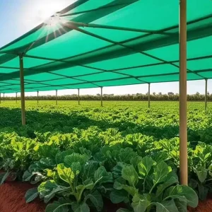 Green HDPE UV Stabilized Agricultural Sun Shade Net for Greenhouse Farm and Garden Plants