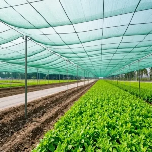 Green HDPE UV Stabilized Thickened Sun Shade Agricultural Net for Greenhouse