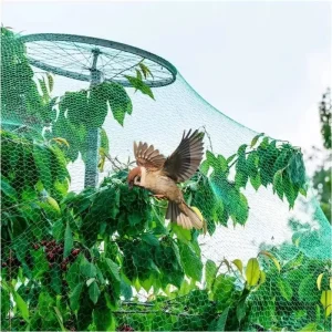 Green Plastic Extruded Anti-Bird Netting for Vineyards, Fruit and Vegetable Gardens